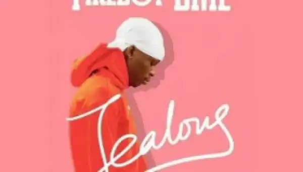Instrumental: Fireboy - Jealous [By Jay Black Beatz]